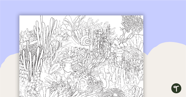 Pattern Colouring In - Coral Scene