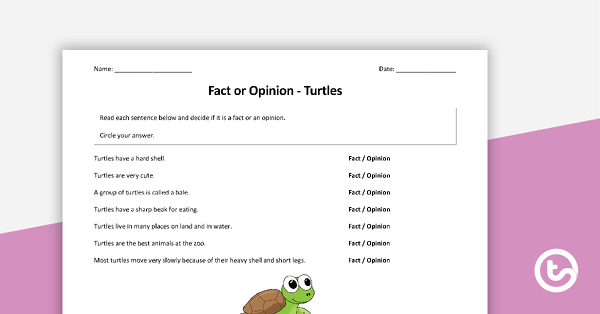 Fact or Opinion - Turtle Worksheet
