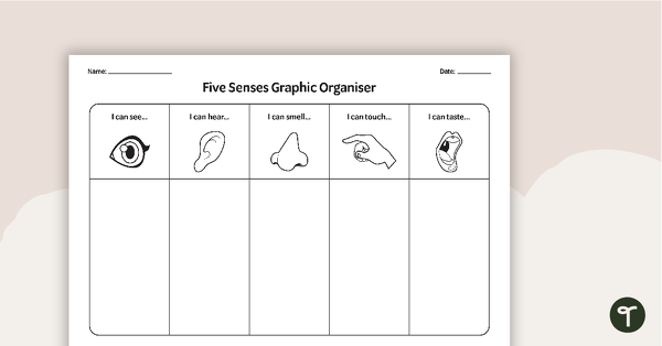 Five Senses Graphic Organiser